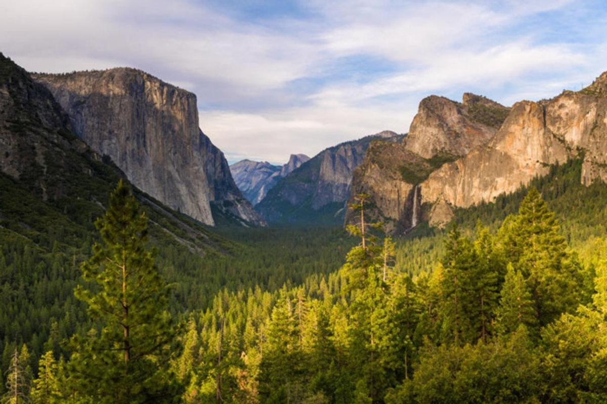 Villa Cozy Bear South-Inside Yosemite National Park Yosemite West Exterior foto